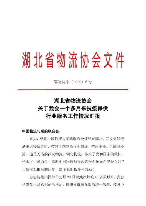 鄂物協(xié)6號(hào)文2020（紅文頭（向中物聯(lián)匯報(bào)_頁(yè)面_01